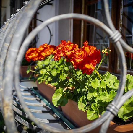 Ferienwohnung Zypresse 메라노 외부 사진
